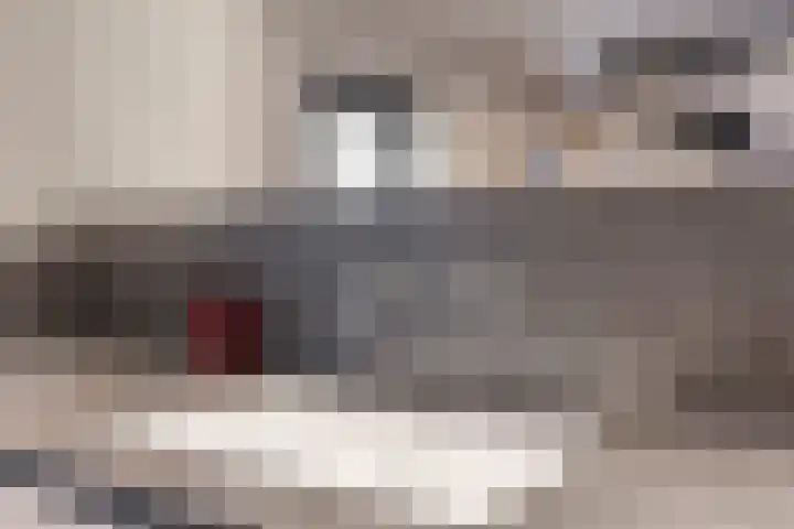 Ringbaan-Zuid 147 Tilburg thumbnail 21