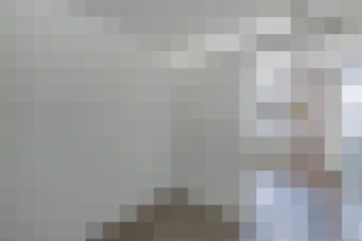 Ringdijk 104 Lelystad thumbnail 22