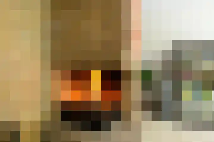 Ringdijk 104 Lelystad thumbnail 35