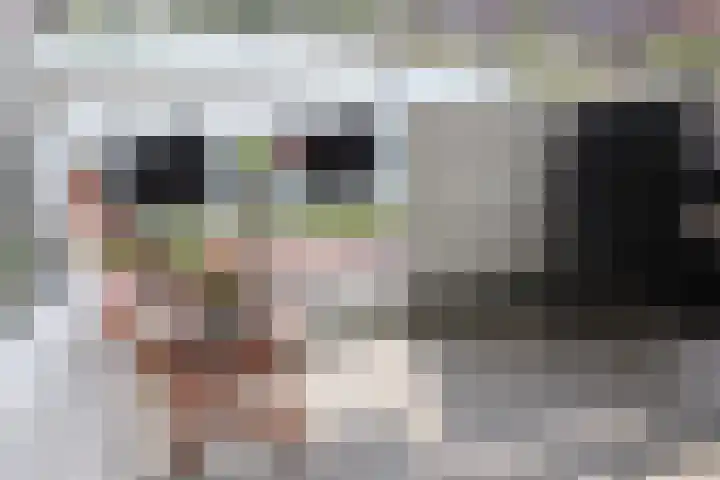 Ringdijk 106 Lelystad thumbnail 10