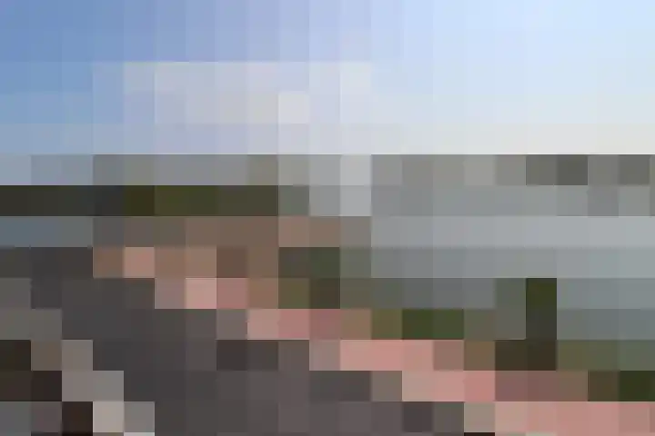 Ringdijk 106 Lelystad thumbnail 11