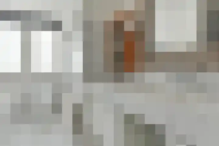 Ringdijk 11 De Kwakel thumbnail 11