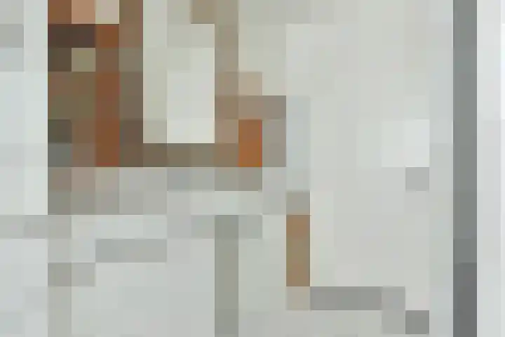 Ringdijk 11 De Kwakel thumbnail 12