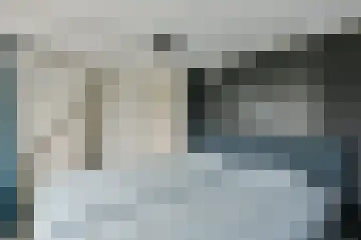 Ringdijk 11 De Kwakel thumbnail 16