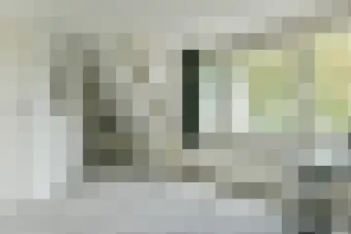 Ringdijk 11 De Kwakel thumbnail 17