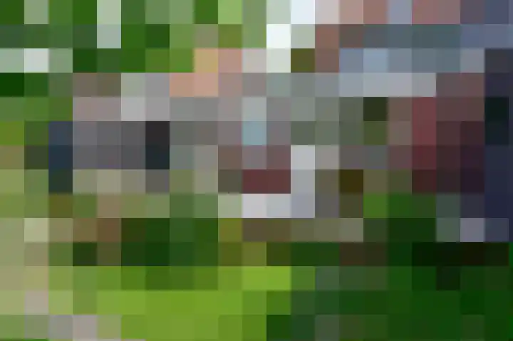 Ringdijk 11 De Kwakel thumbnail 20