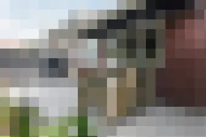 Ringdijk 11 De Kwakel thumbnail 21