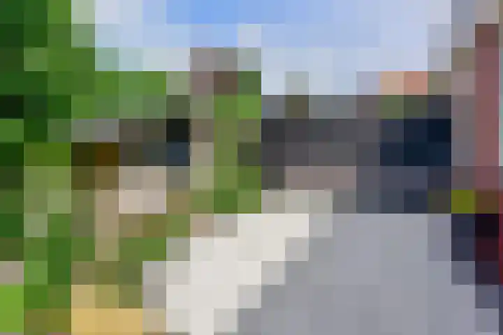 Ringdijk 11 De Kwakel thumbnail 24