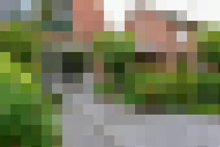 Ringdijk 11 De Kwakel thumbnail 25