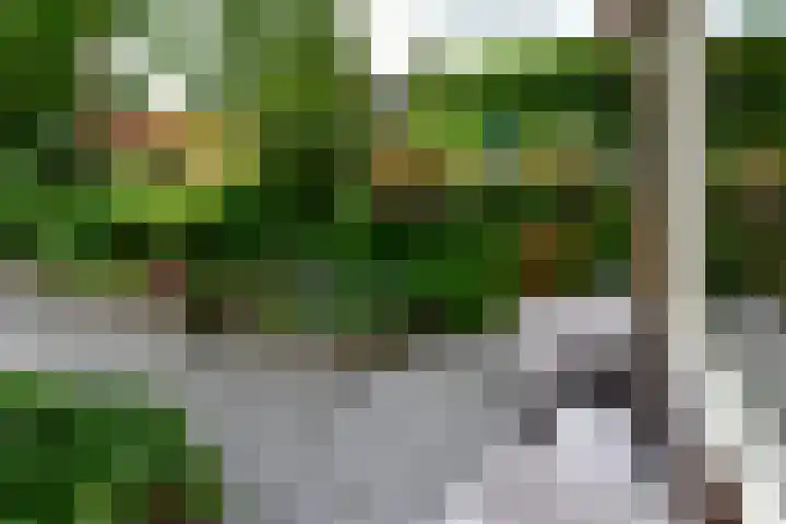 Ringdijk 11 De Kwakel thumbnail 26