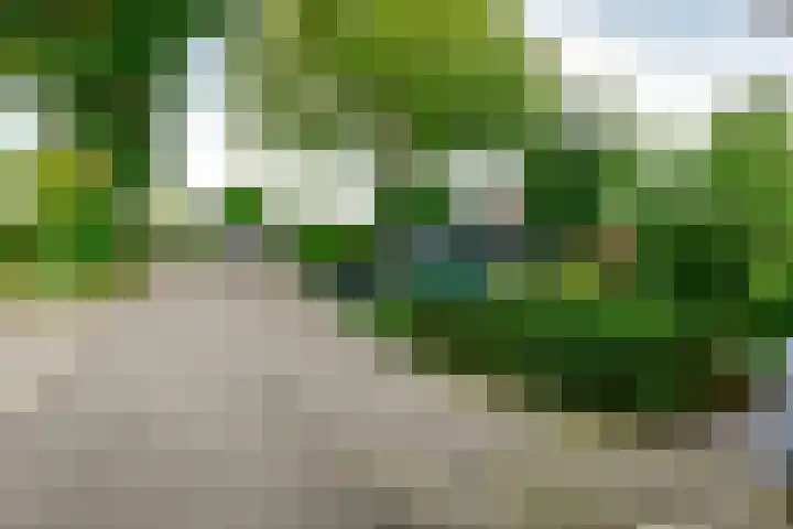 Ringdijk 11 De Kwakel thumbnail 27