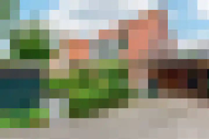 Ringdijk 11 De Kwakel thumbnail 29
