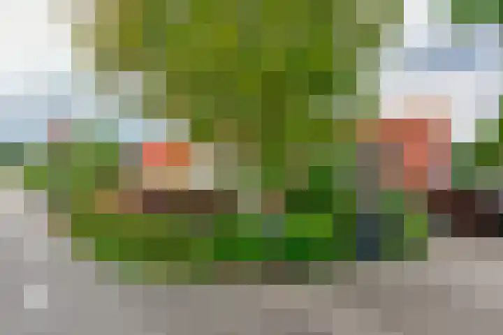 Ringdijk 11 De Kwakel thumbnail 30