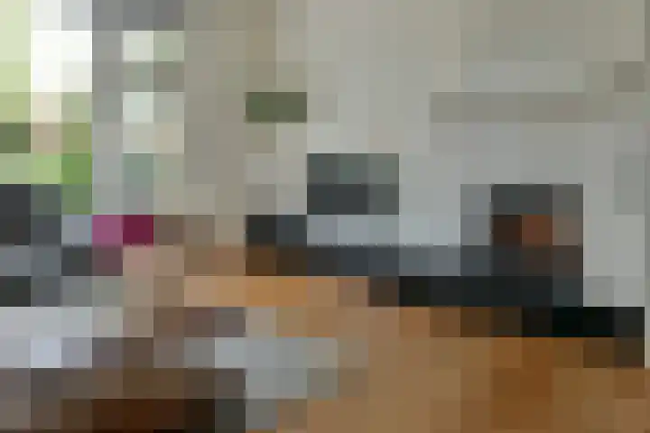 Ringdijk 11 De Kwakel thumbnail 7