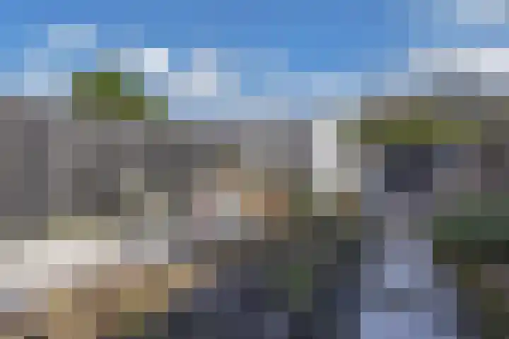 Ringdijk 127 Lelystad thumbnail 19