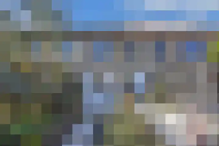 Ringdijk 127 Lelystad thumbnail 21