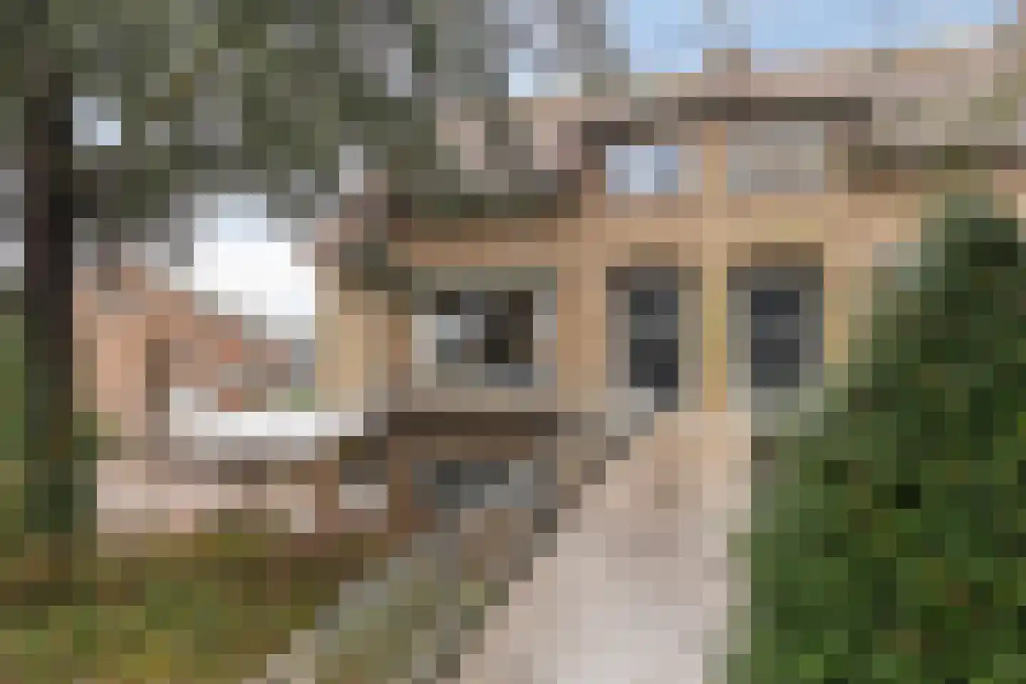 Ringdijk 15 in De Kwakel