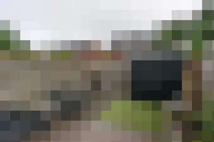 Ringdijk 23 Bemmel thumbnail 22