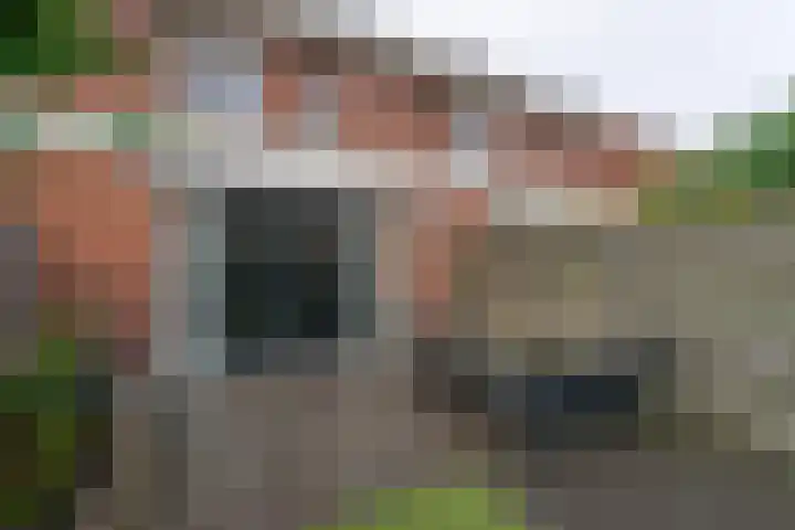 Ringdijk 23 Bemmel thumbnail 26