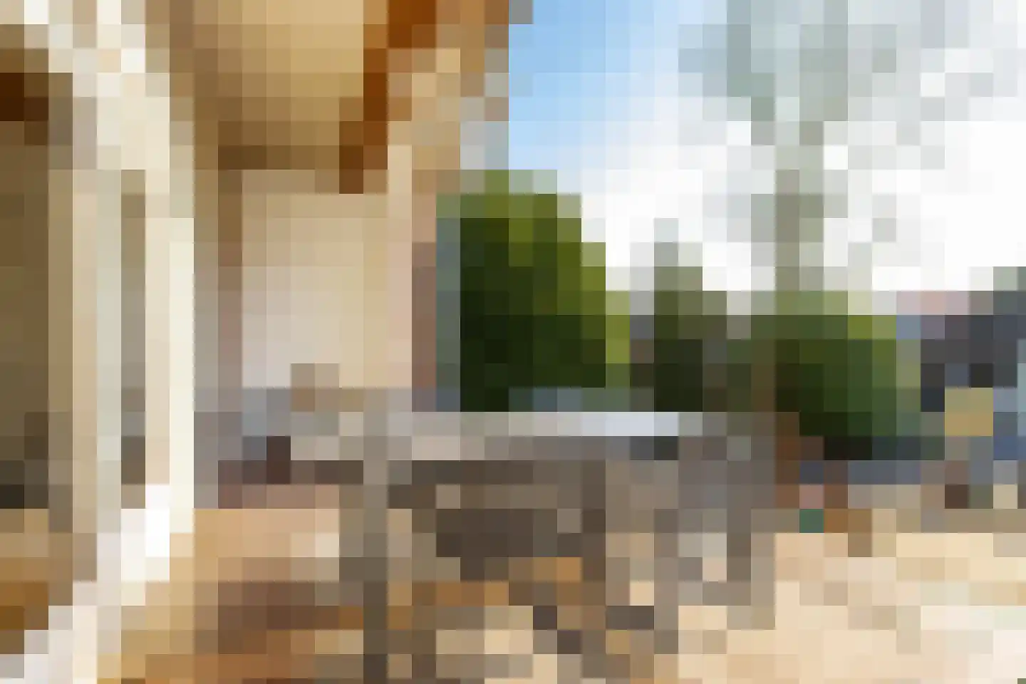 Ringdijk 27 Ter Aar thumbnail 10