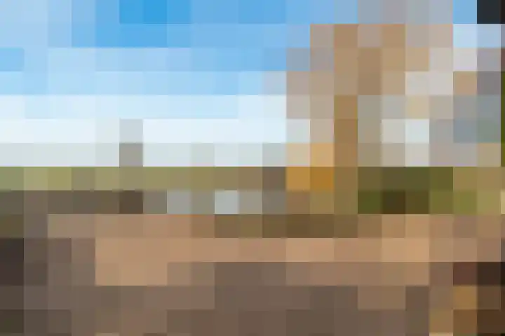 Ringdijk 27 Ter Aar thumbnail 14