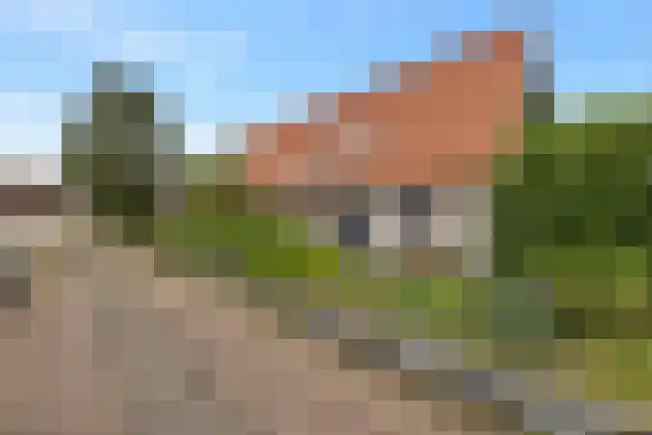 Ringdijk 27 Ter Aar thumbnail 15