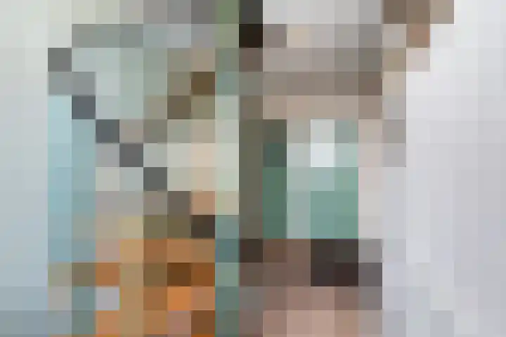 Ringdijk 27 Ter Aar thumbnail 20