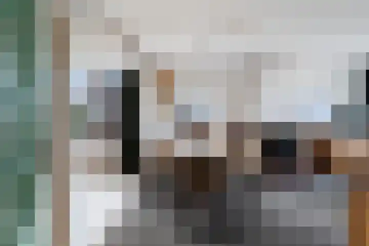 Ringdijk 27 Ter Aar thumbnail 23