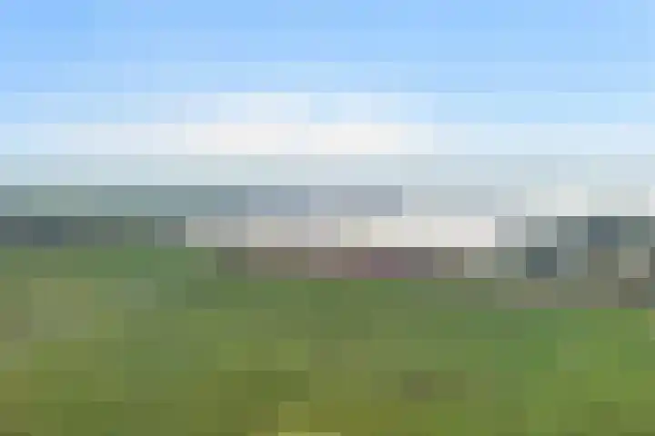 Ringdijk 27 Ter Aar foto 3