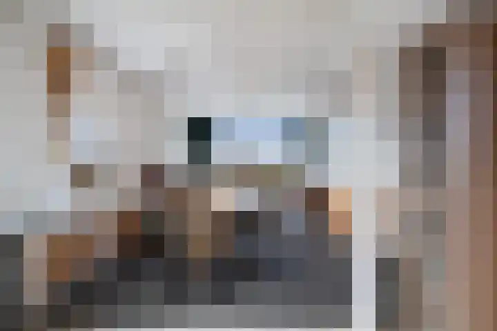 Ringdijk 27 Ter Aar thumbnail 31