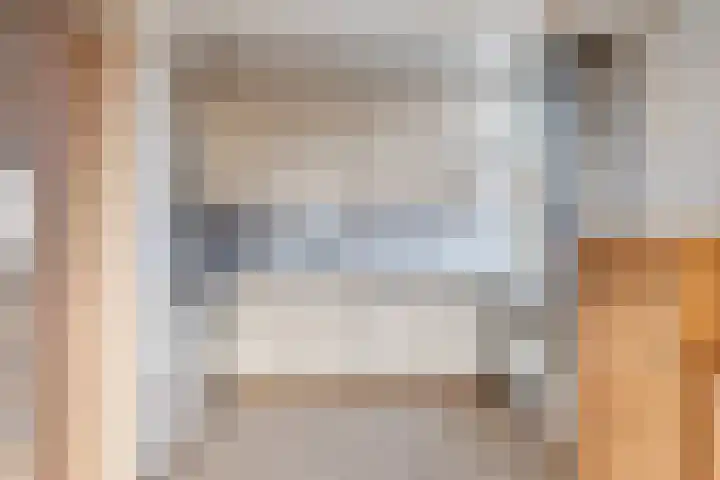 Ringdijk 27 Ter Aar thumbnail 34