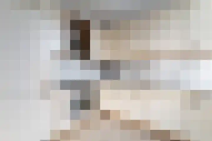 Ringdijk 27 Ter Aar thumbnail 35