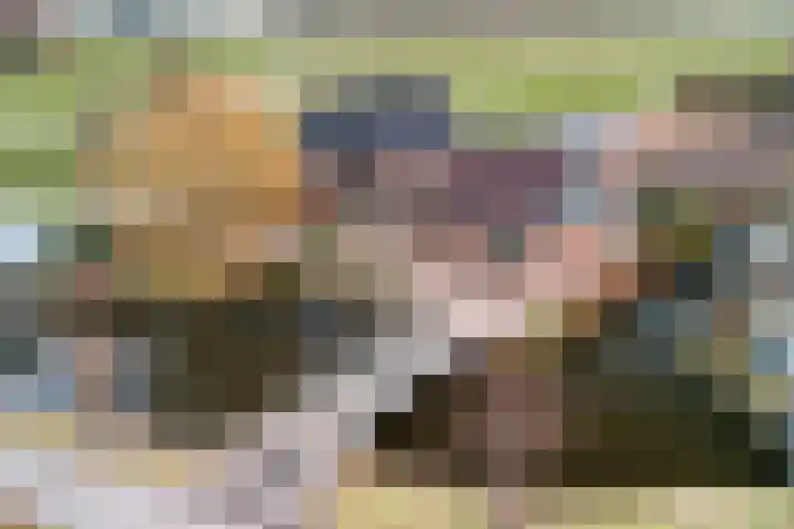 Ringdijk 27 Ter Aar thumbnail 4