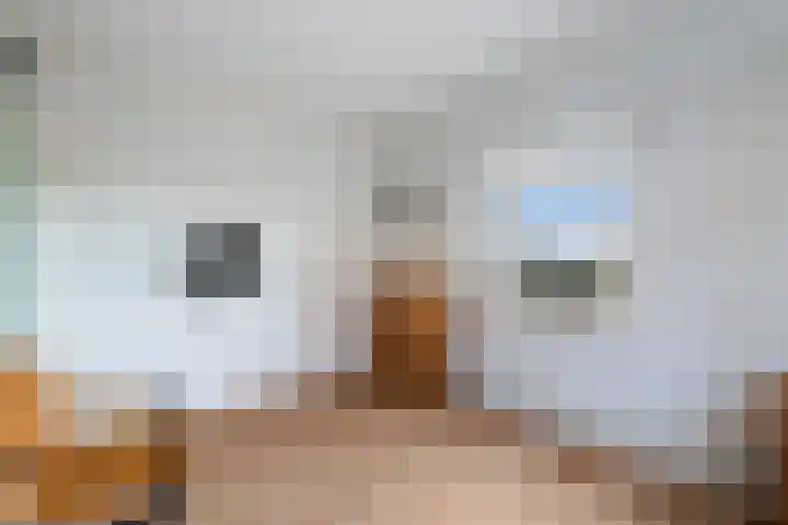 Ringdijk 27 Ter Aar thumbnail 43