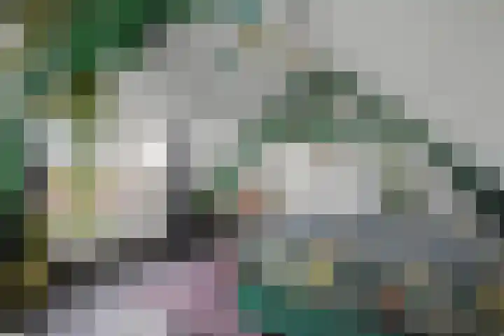 Ringdijk 27 Ter Aar thumbnail 51