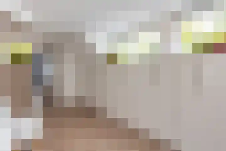 Ringdijk 27 Ter Aar thumbnail 52