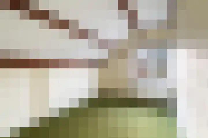 Ringdijk 27 Ter Aar thumbnail 53