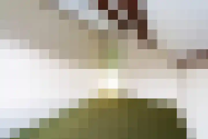 Ringdijk 27 Ter Aar thumbnail 54