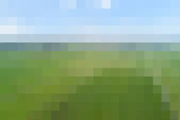 Ringdijk 27 Ter Aar thumbnail 56