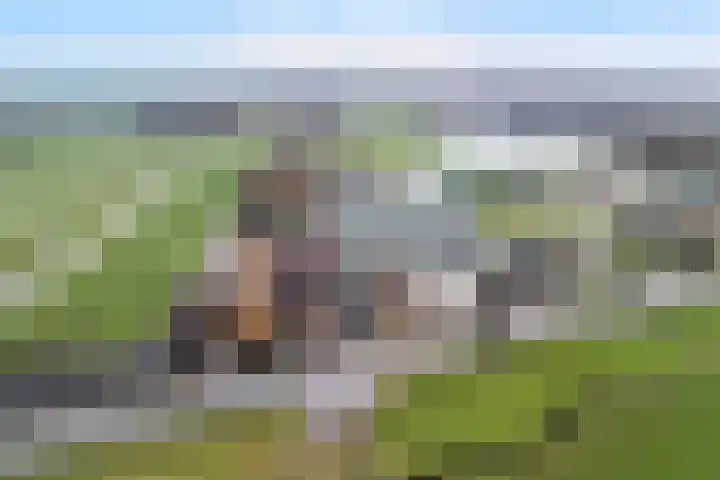 Ringdijk 27 Ter Aar thumbnail 57