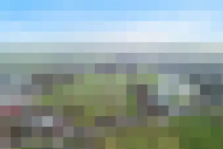 Ringdijk 27 Ter Aar thumbnail 59