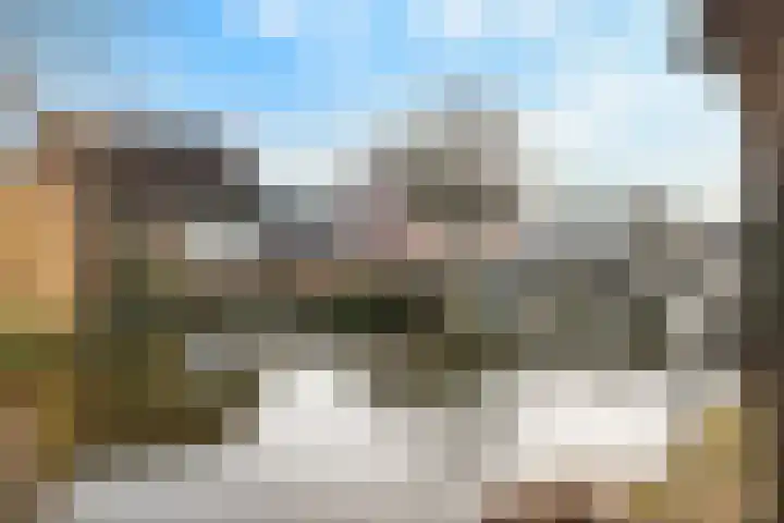 Ringdijk 27 Ter Aar thumbnail 8