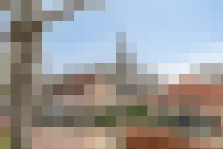 Ringdijk 38 a Ridderkerk thumbnail 39