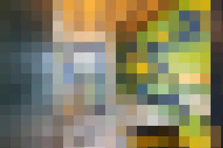 Ringdijk 66 Ridderkerk foto 3