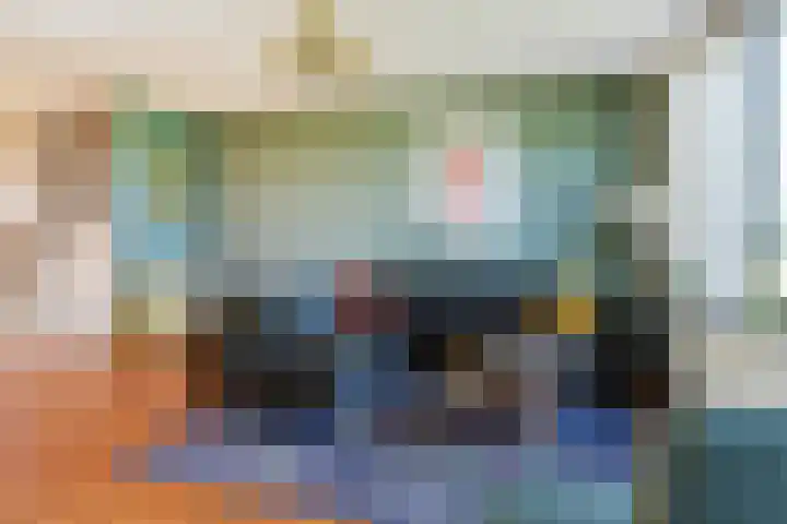 Ringdijk 86 Bemmel thumbnail 24