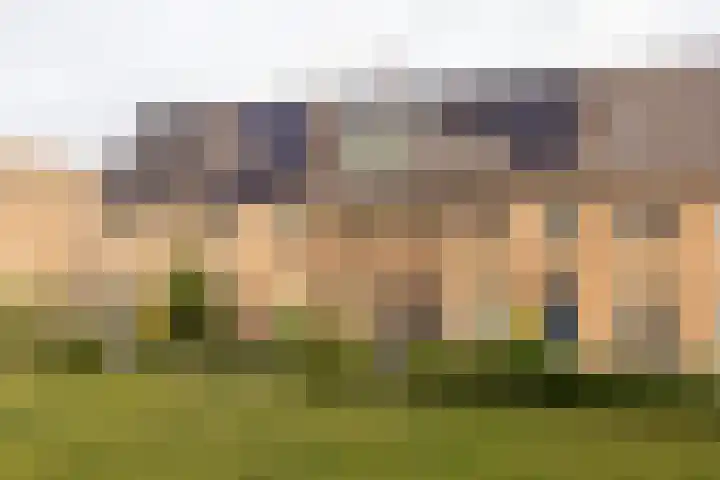 Ringdijk 86 Bemmel thumbnail 25