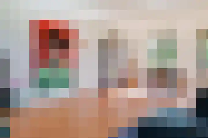 Ringdijk 86 Bemmel thumbnail 26