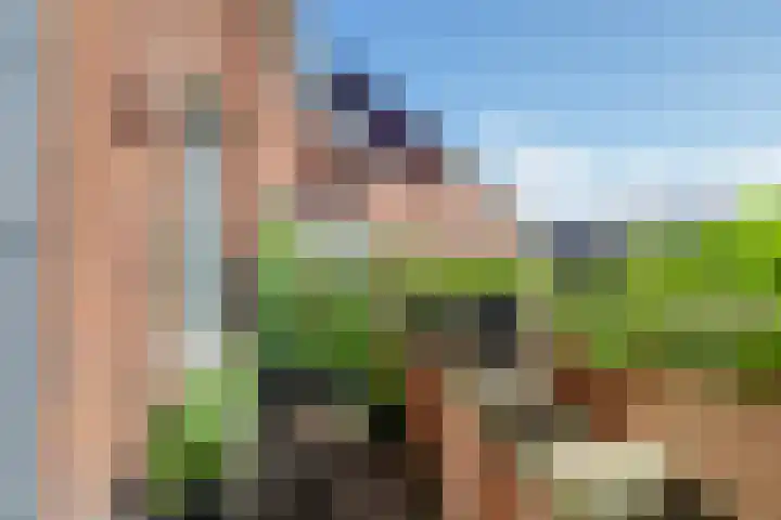 Ringdijk 86 Bemmel thumbnail 28