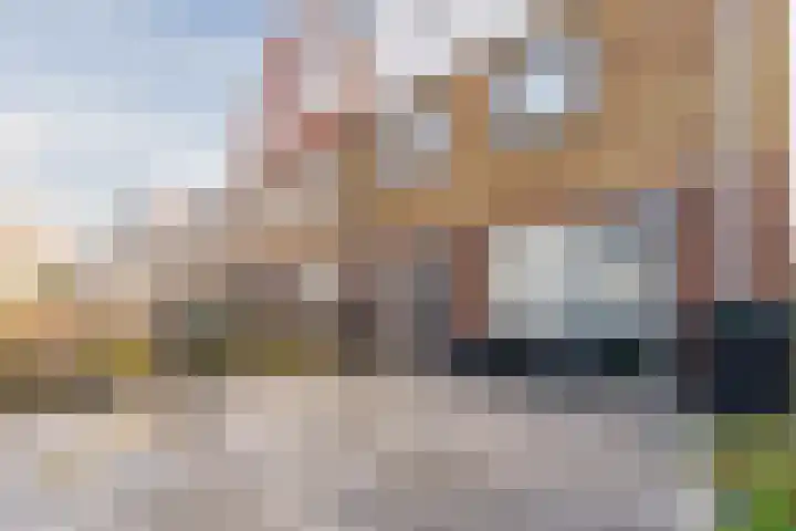 Ringdijk 86 Bemmel thumbnail 35