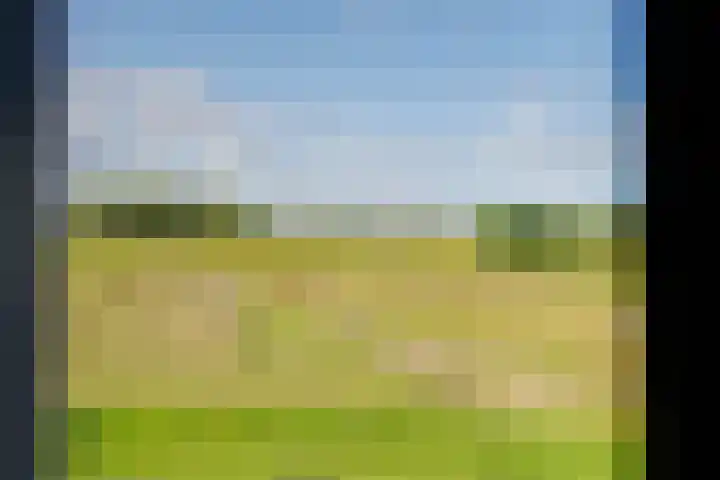 Ringdijk 86 Bemmel thumbnail 35